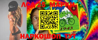 индика Будённовск