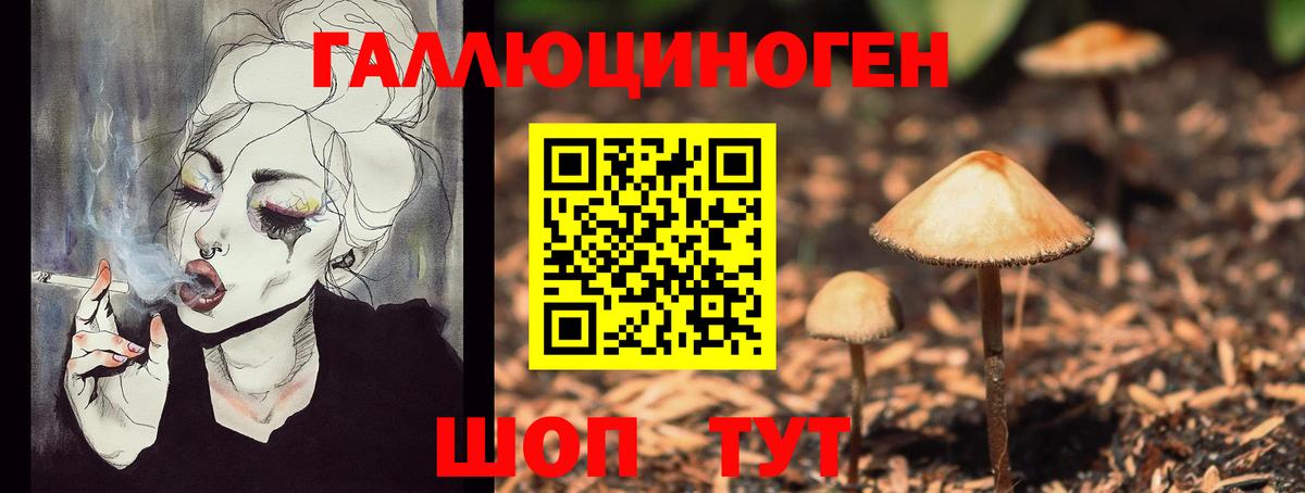 Псилоцибиновые грибы Cubensis  Вход с VPN  Курчалой 
